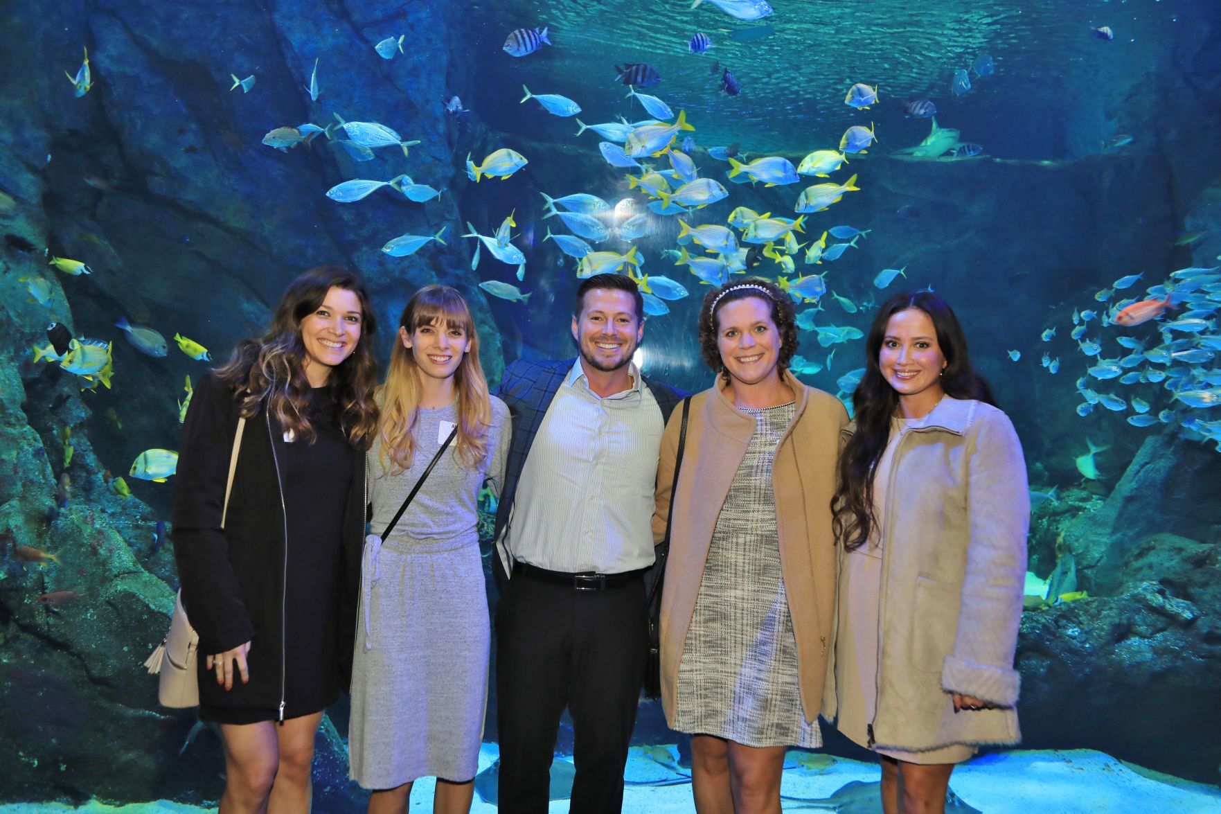 Dani Singer, Allie Justus, Brett Tiefenbrunn, Dani Sartori, Nadia Van Broekhoven